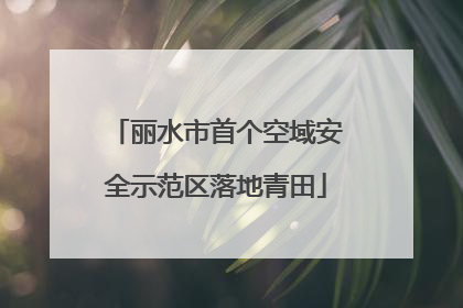 丽水市首个空域安全示范区落地青田